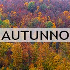 M_AUTUNNO.jpg